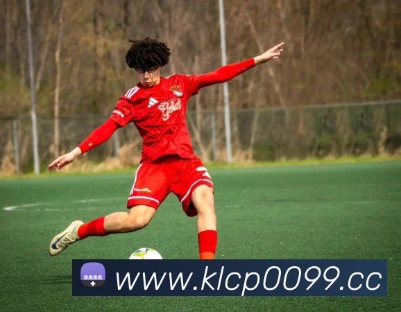 500彩票下载服务体系